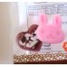 Photo4: Silicone Mold Animal Bear Rabbit Cat Heart Chocolate Pink New (4)