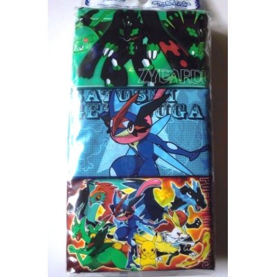 Photo2: Nintendo Pokémon XY & Z Pikachu Pocket Tissue Brand New