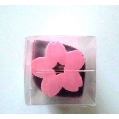 Photo2: Eraser Toy Sakura Long Spring Pink Japan Brand New