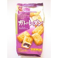 Bourbon Gateau Raisins Milk Cream Cake Japanese Sweets Brand New