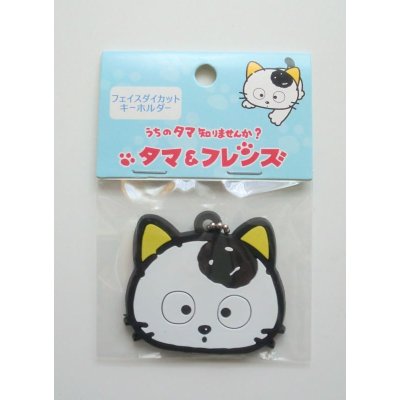 Photo1:  Tama & Friends uchi no Tama shirimasenka Cat Keychain Strap Brand New 