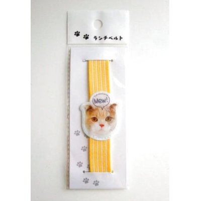 Photo1: Bento Lunch Box Belt cat yellow Brand New