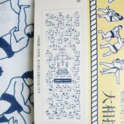 Photo2: Tenugui Cotton Cloth Sumo techniques white Japanese 100% Cotton Brand-New