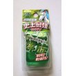 Photo1: Kneaded Glitter Eraser Brand New Green (1)