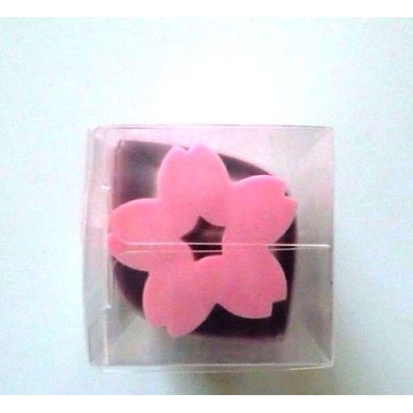 Photo2: Eraser Toy Sakura Long Spring Pink Japan Brand New (2)