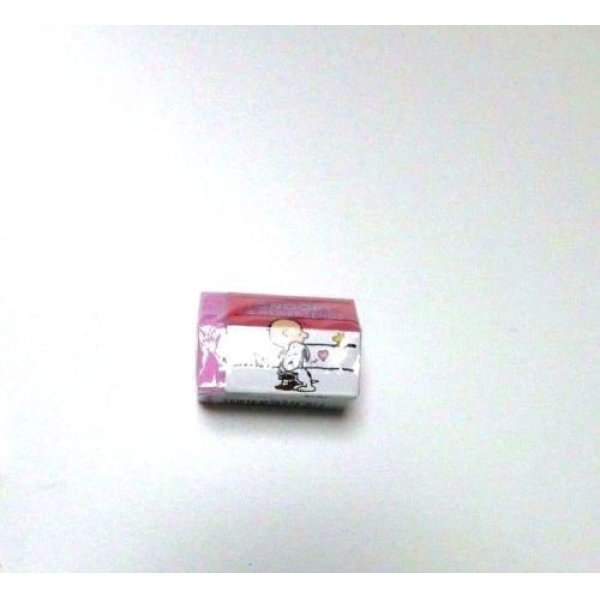 Photo2: Peanuts Snoopy & his Friends Eraser Brand New House Pink Blue (2)