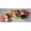 Photo1: Eraser Toy Animal Sweets Lion Dog Doughnut Brand New (1)